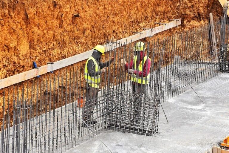 صورة المقالة