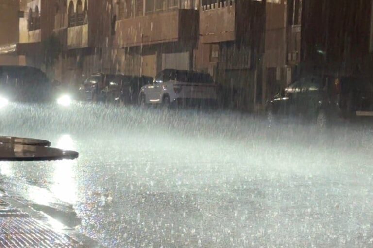 صورة المقالة