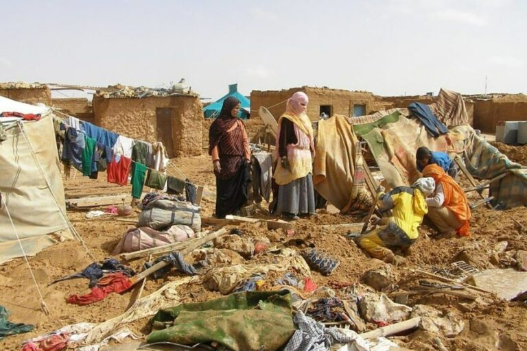 صورة المقالة