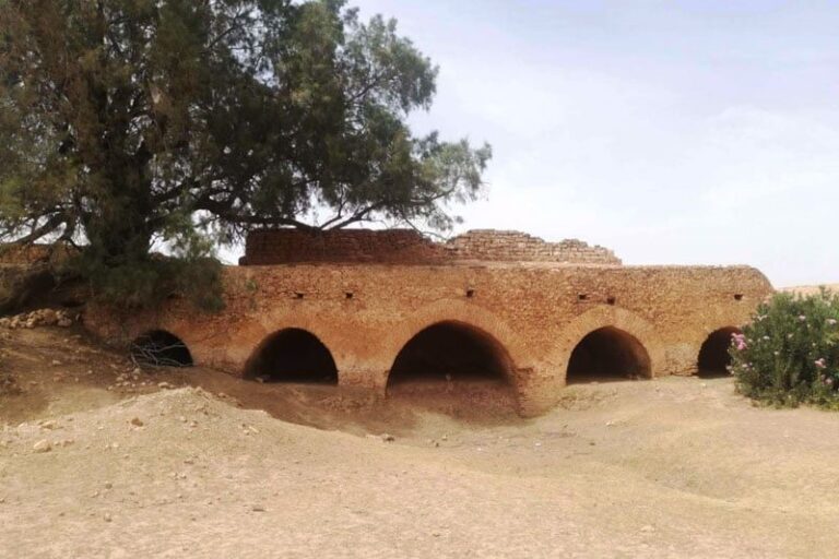 صورة المقالة