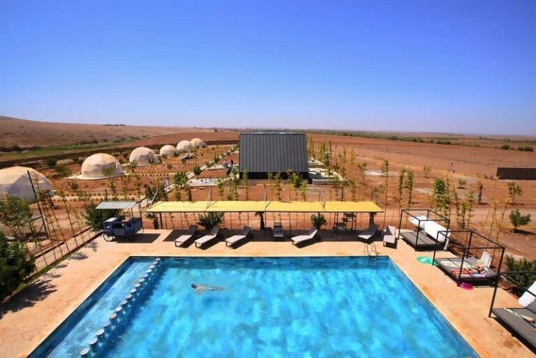 صورة المقالة