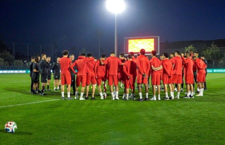 صورة المقالة