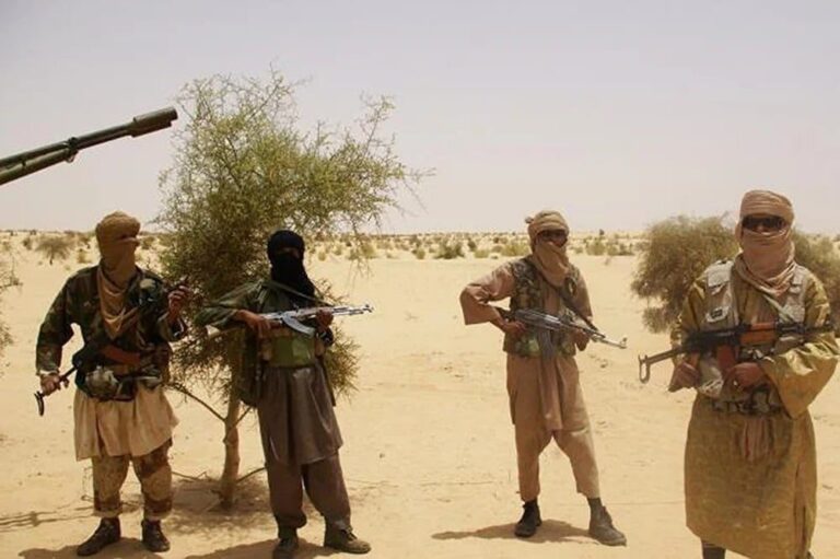 صورة المقالة