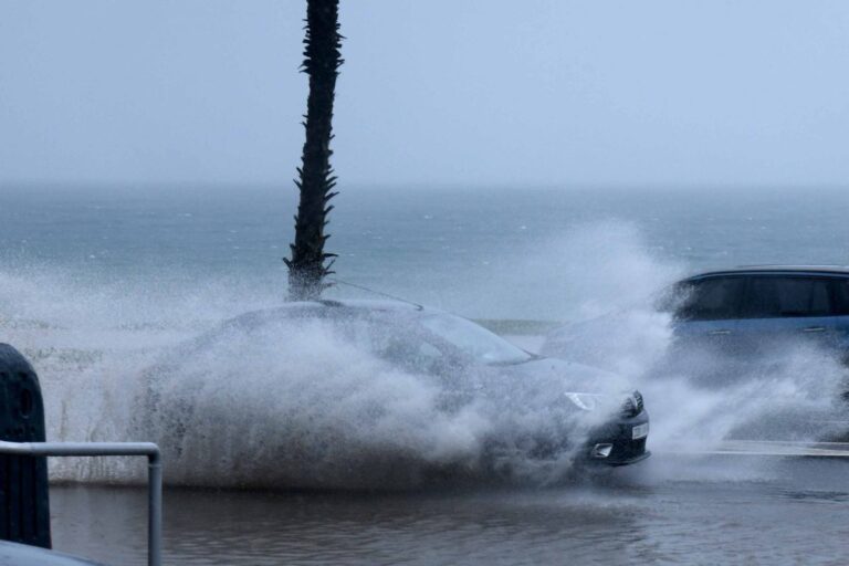 صورة المقالة