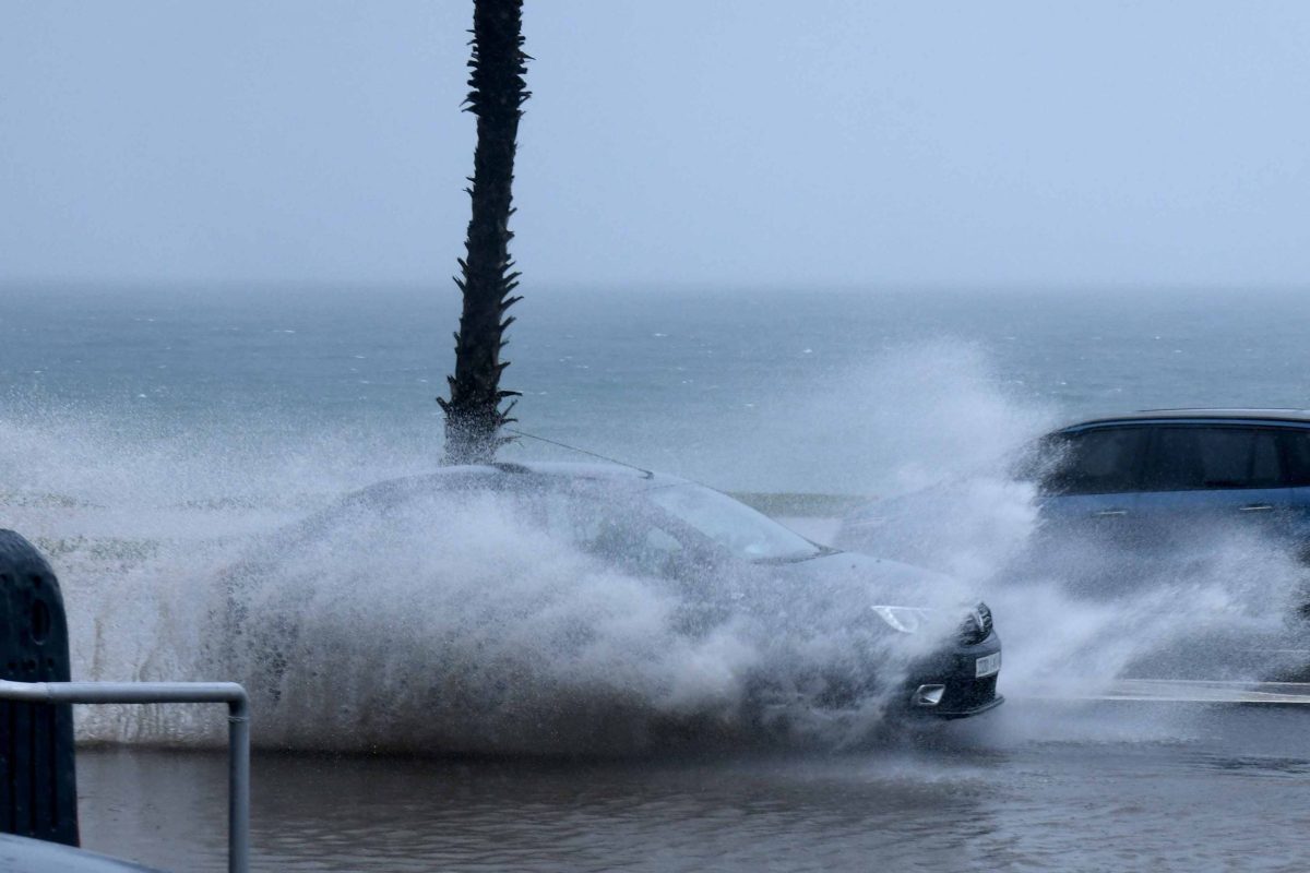 صورة المقالة