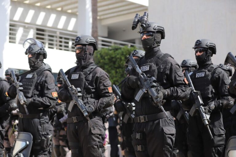 صورة المقالة