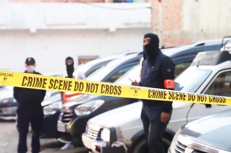 صورة المقالة