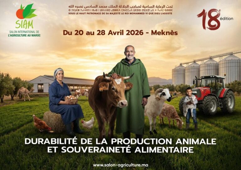 صورة المقالة