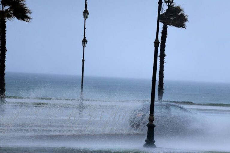 صورة المقالة