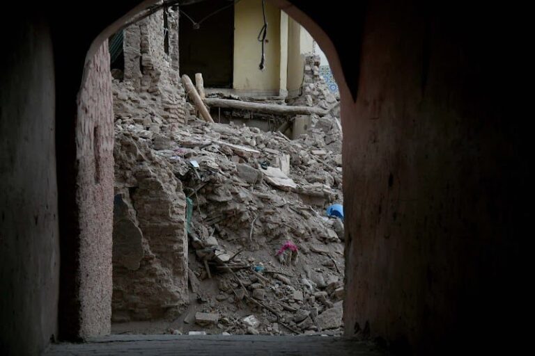 صورة المقالة