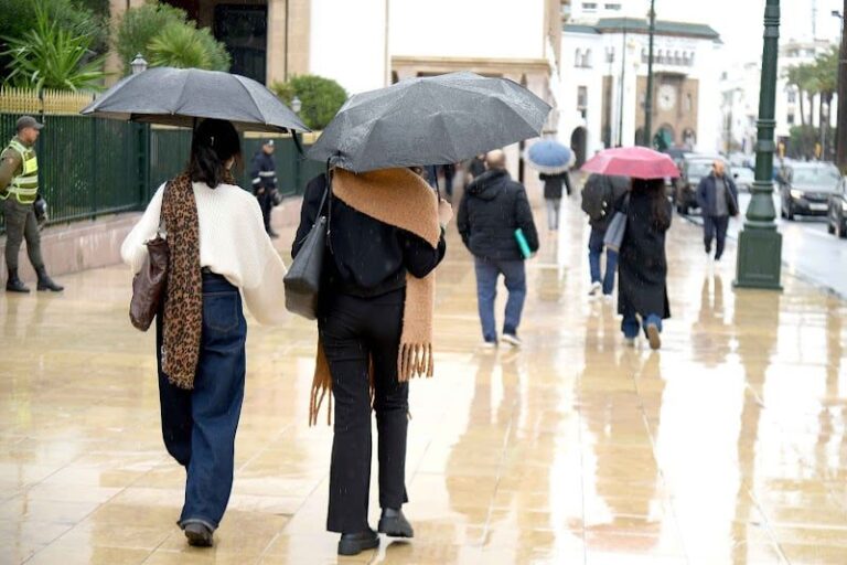 صورة المقالة