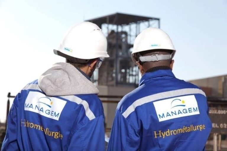 صورة المقالة