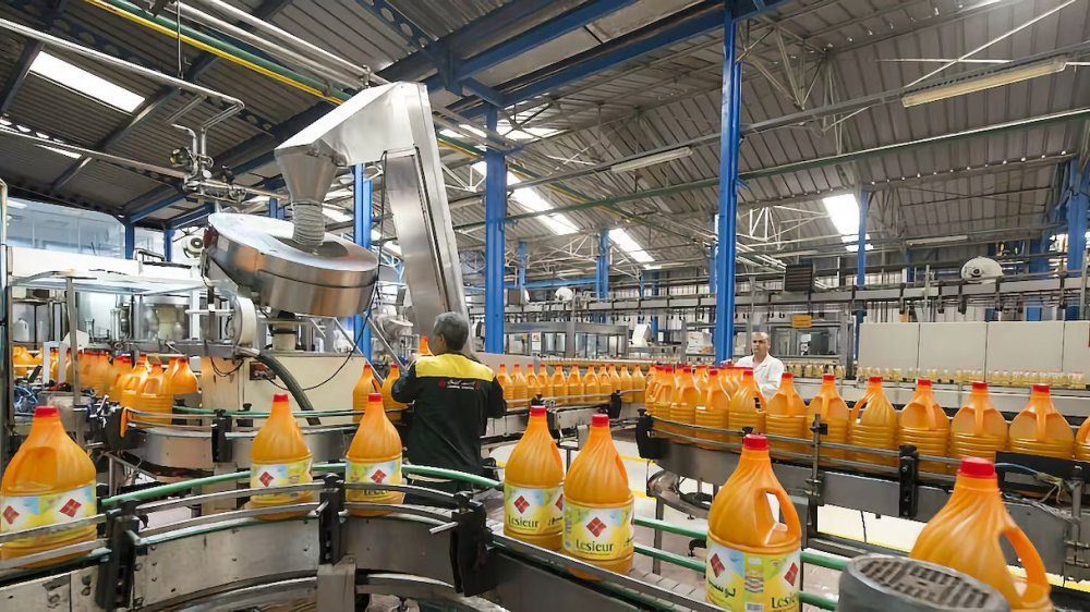 انخفاض صافي أرباح ليسور كريستال بنسبة 66% في 2025