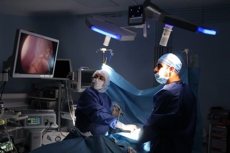 صورة المقالة