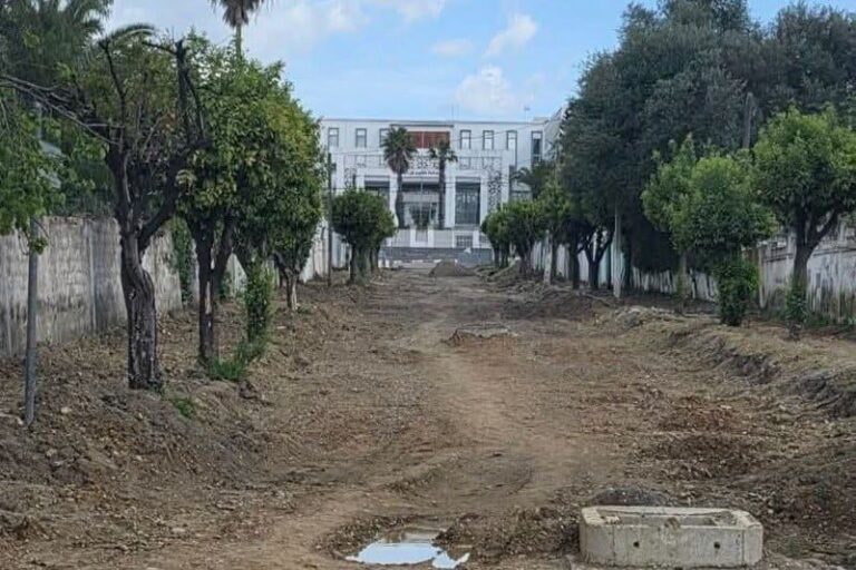 صورة المقالة