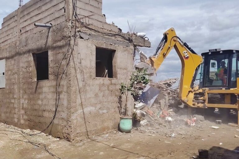 صورة المقالة