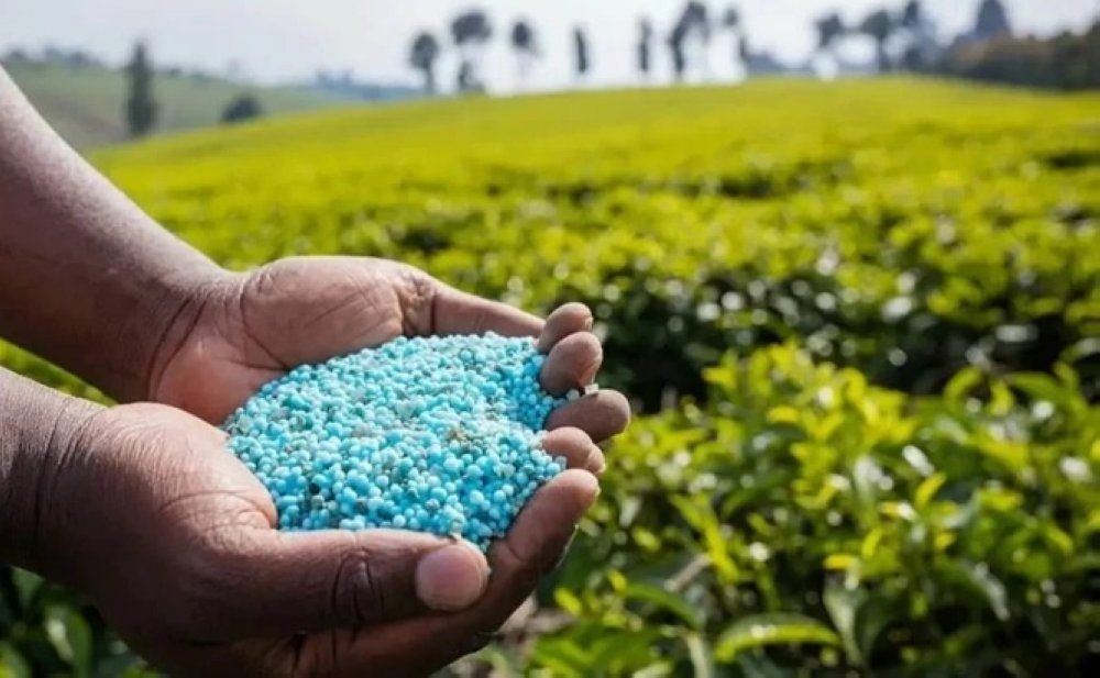 صادرات المغرب من الأسمدة إلى الاتحاد الأوروبي تسجل رقماً قياسياً تاريخياً في 2025