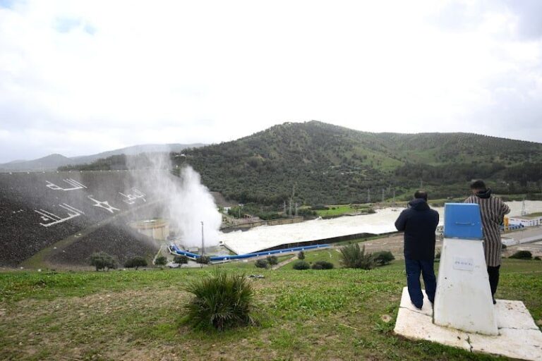 صورة المقالة