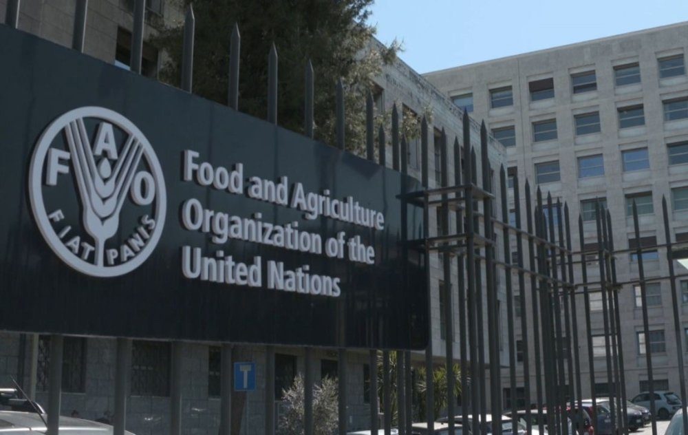 حرب الشرق الأوسط تتسبب في أشد اضطرابات تدفق السلع الأساسية في التاريخ الحديث (منظمة الفاو)