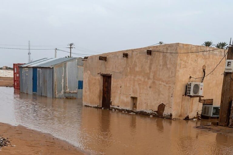 صورة المقالة