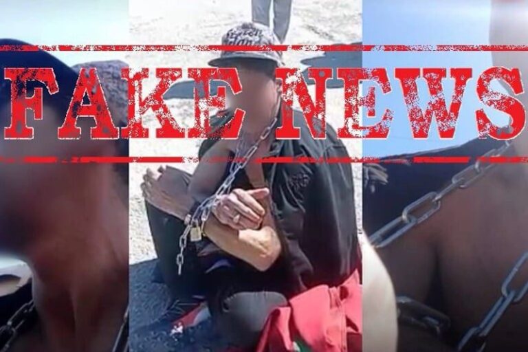 صورة المقالة