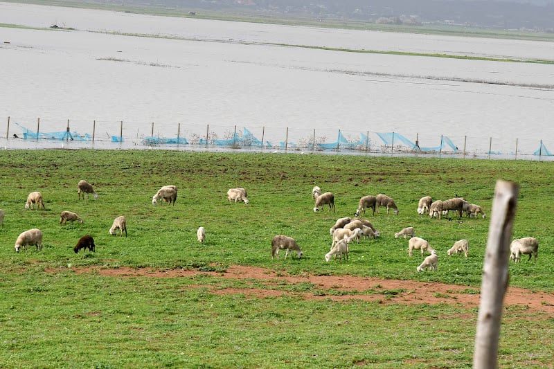 توقعات الأرصاد الجوية في المغرب ليوم السبت: أجواء باردة وأمطار متفرقة