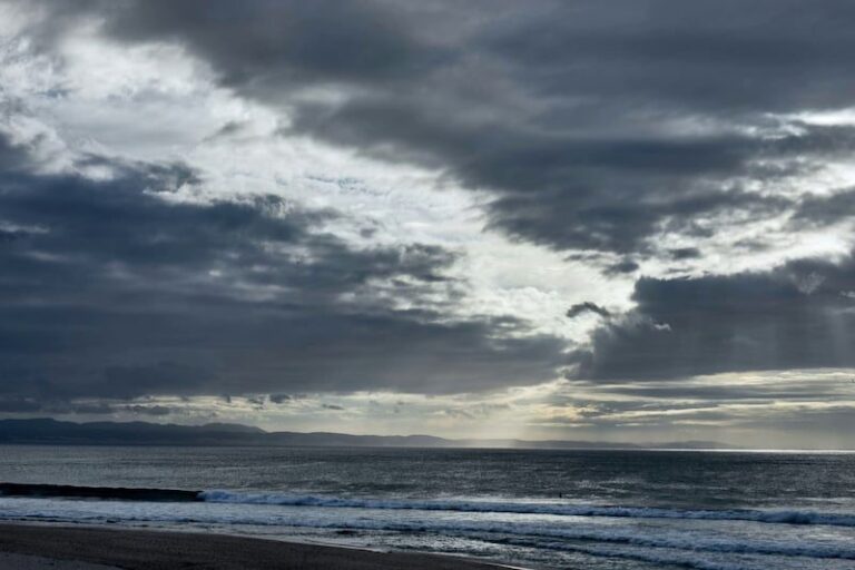 صورة المقالة