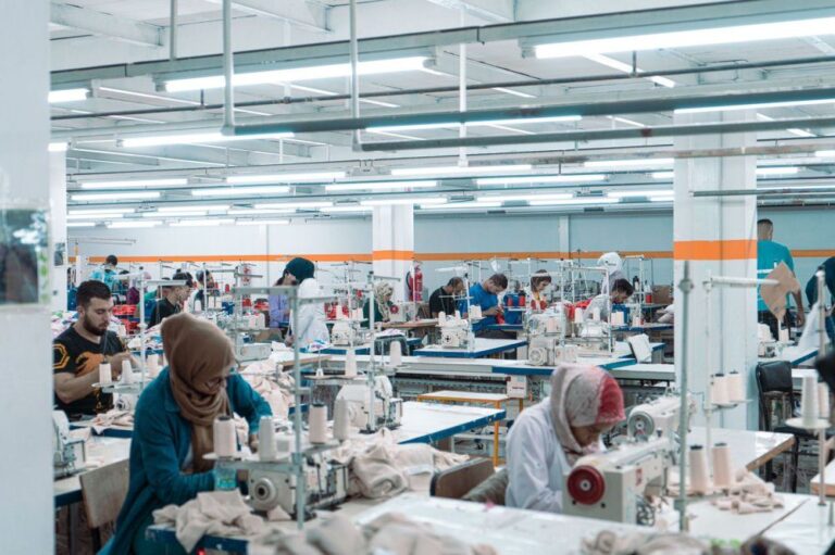 صورة المقالة