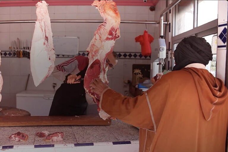 صورة المقالة