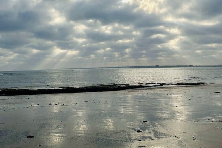 صورة المقالة