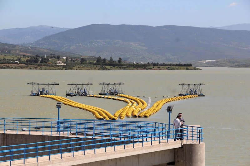 صورة المقالة