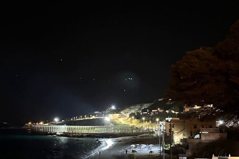 صورة المقالة