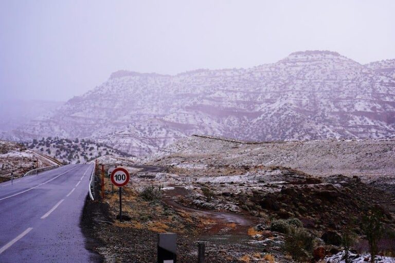 صورة المقالة