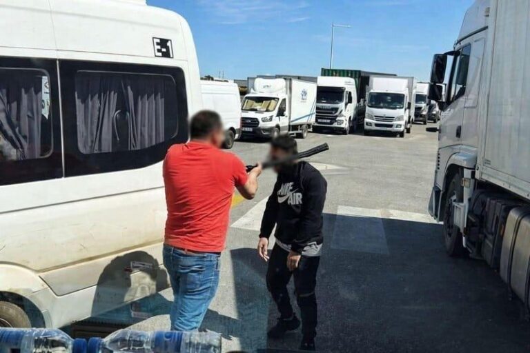 صورة المقالة