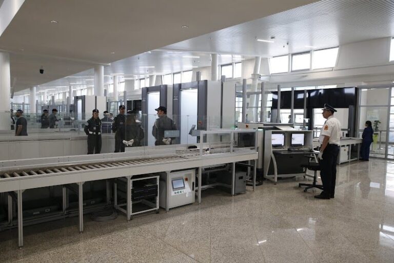 صورة المقالة