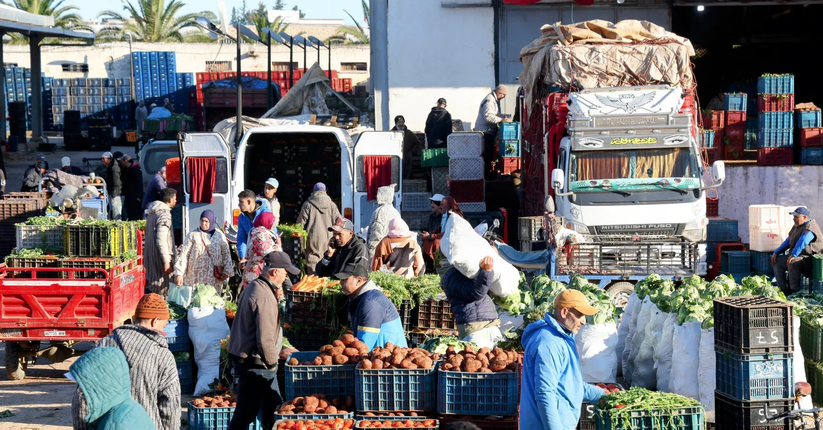 صورة المقالة