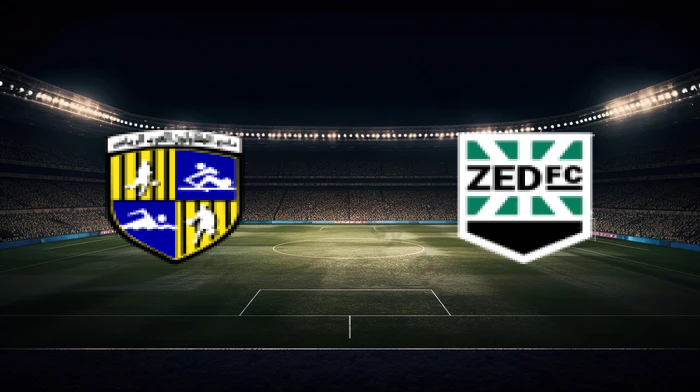 صورة المقالة