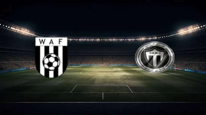 صورة المقالة