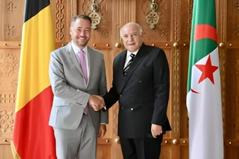 صورة المقالة