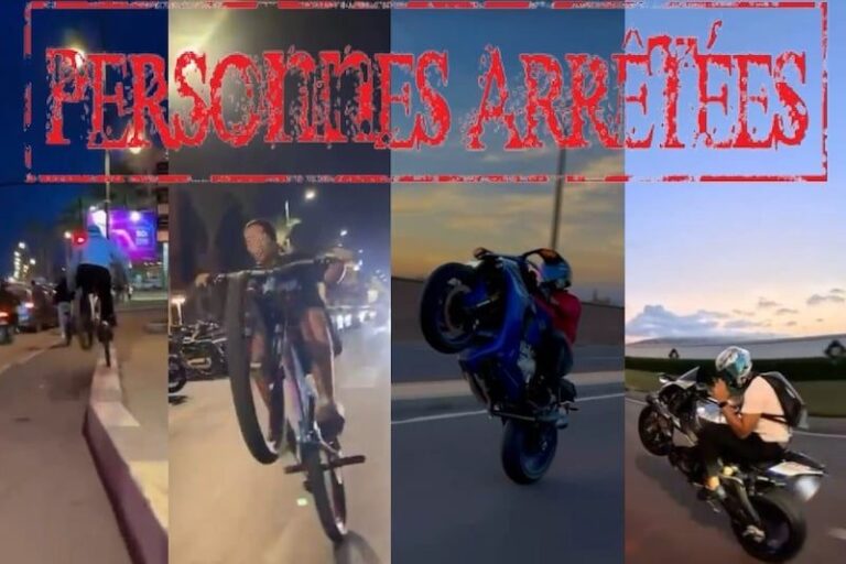 صورة المقالة