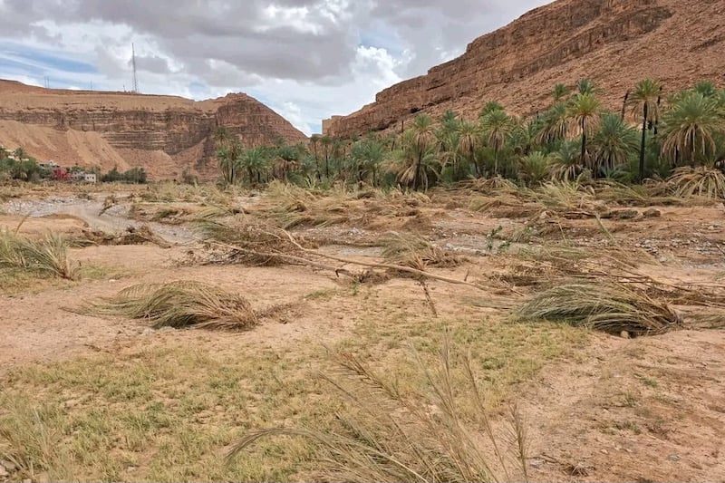 ساكنة سموكن في طاطا تحذر من اندثار واحاتها بعد فيضانات 2024
