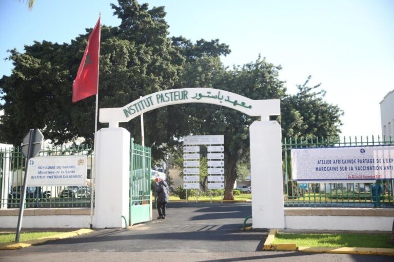 صورة المقالة