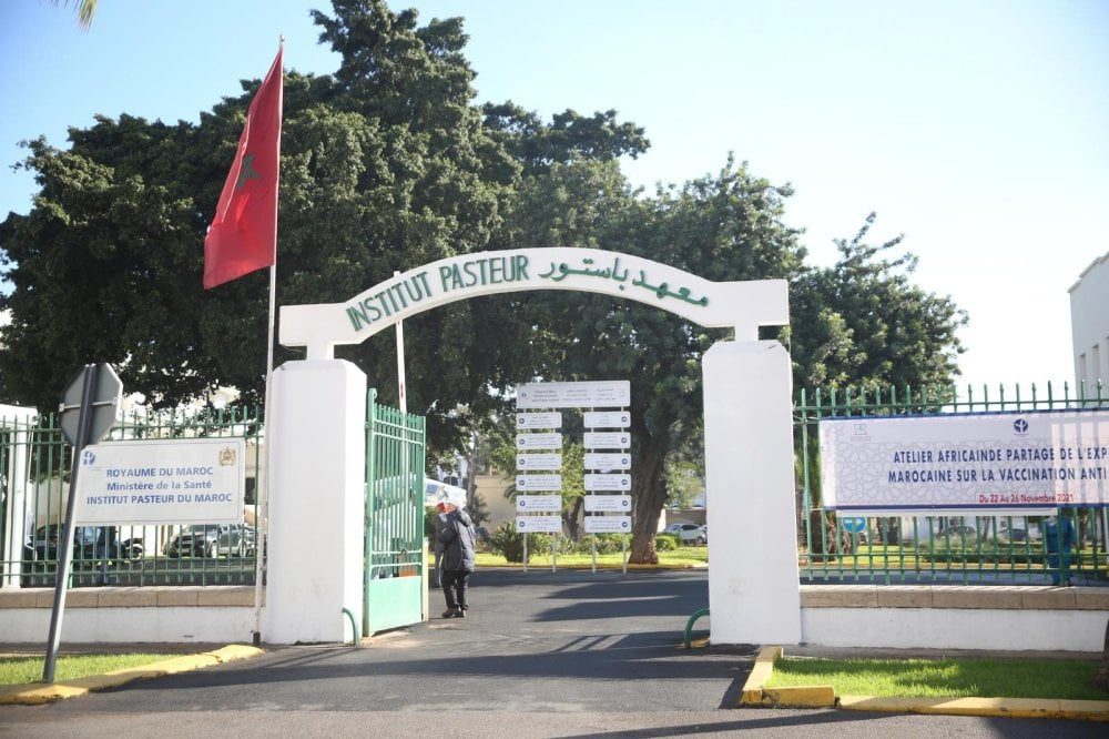 صورة المقالة