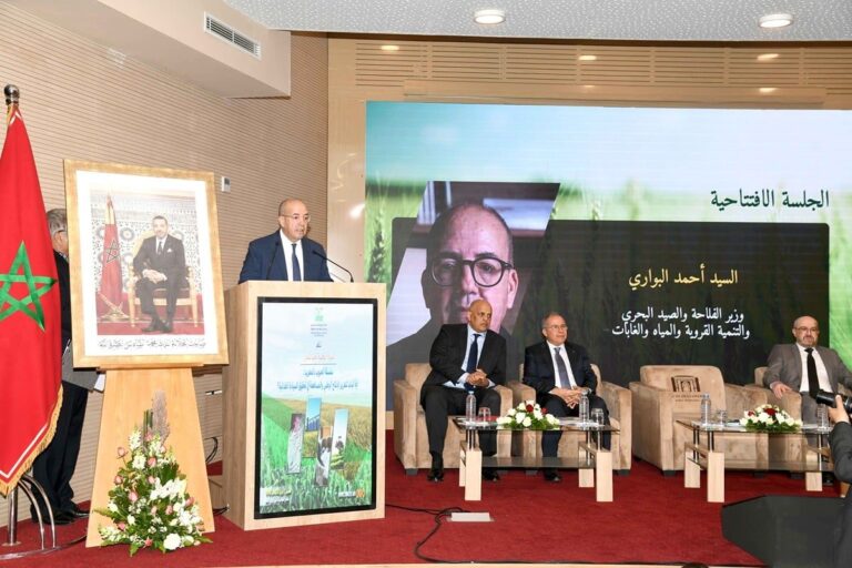 صورة المقالة