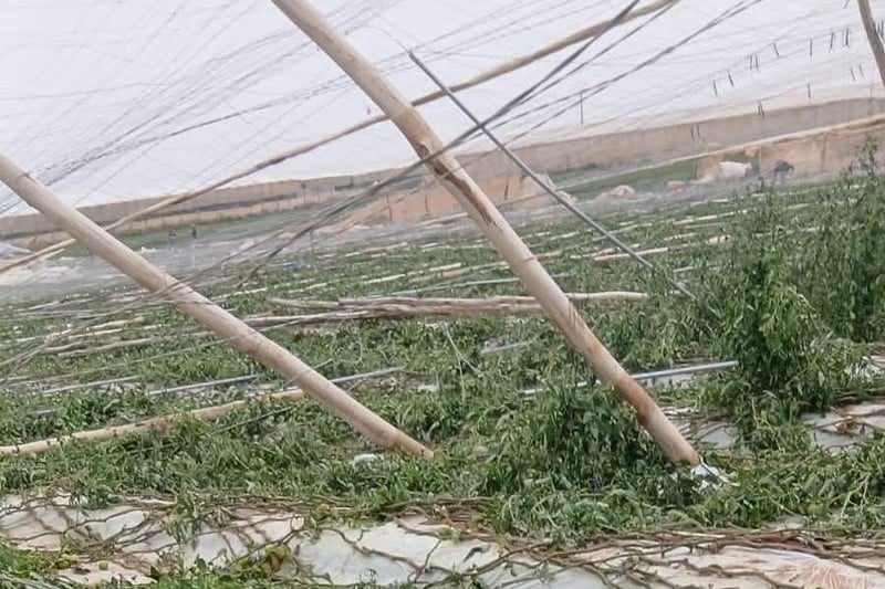 انتهاء إحصاء أضرار العاصفة الرملية بسوس-ماسة وانتظار إجراءات التعويض