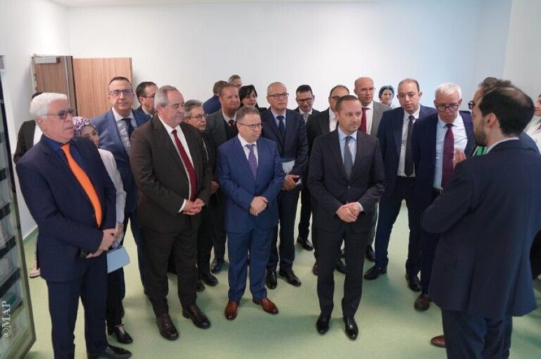 صورة المقالة