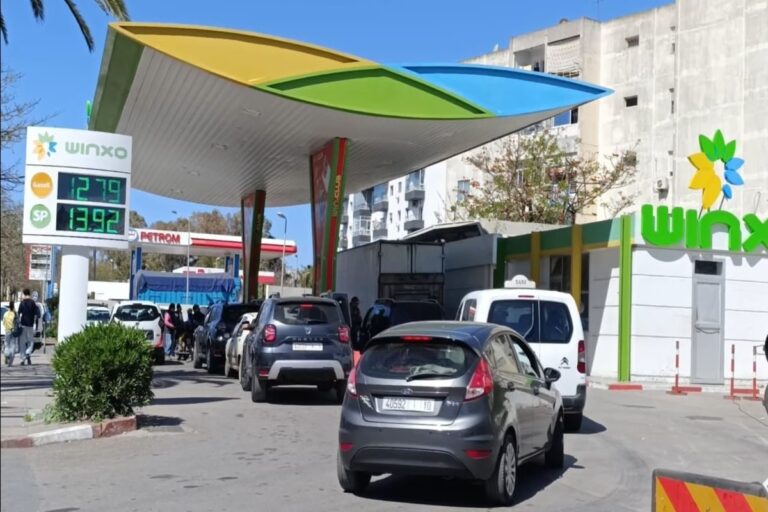 صورة المقالة