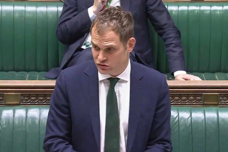 صورة المقالة