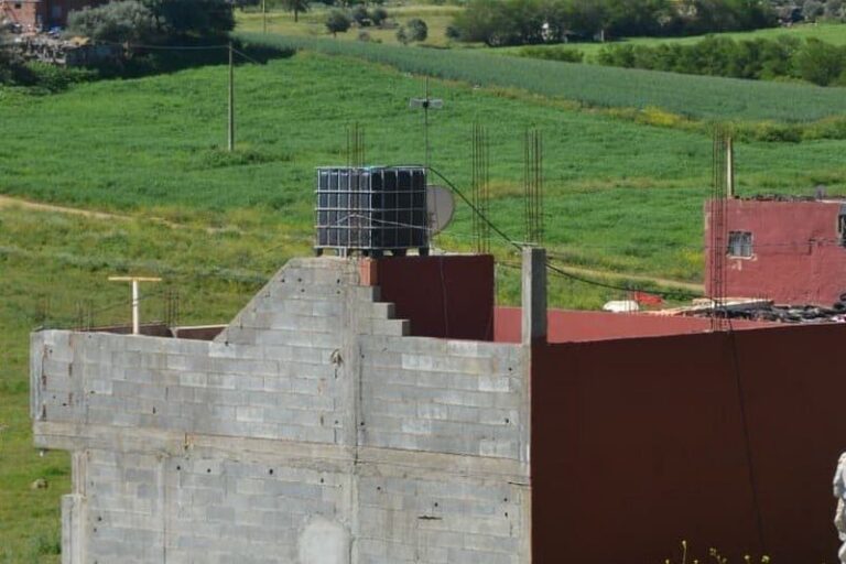 صورة المقالة