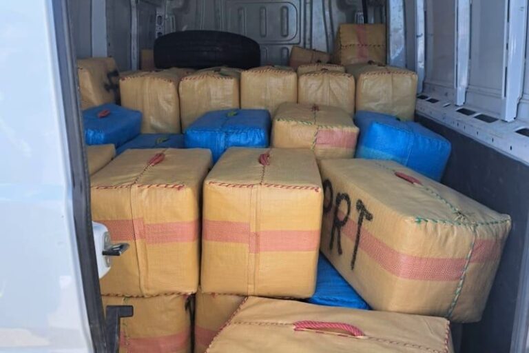 صورة المقالة